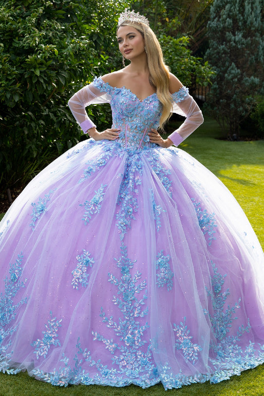 3D Floral Applique Embellished Cut Away Shoulder Quinceanera Dress W Long Mesh Sleeve