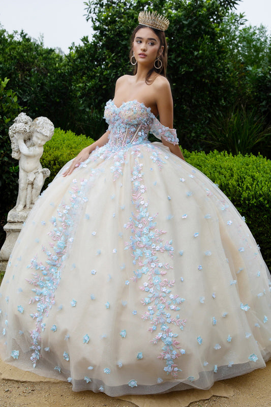 3D Floral Applique Embellished Sweetheart Sheer Bodice Quinceanera Dress