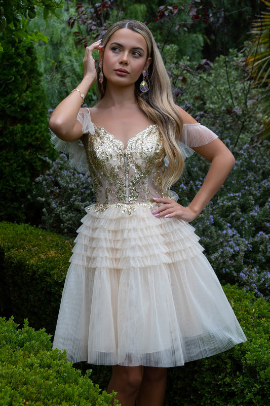 Pleated Mesh Skirt Sheer Bodice Glitter Pattern Embellished Homecoming Dress W Lace Up Back