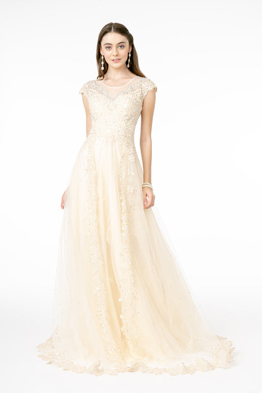 Green Mauve Champagne Embroidered Mesh A Line Long Dress With Sheer Back
