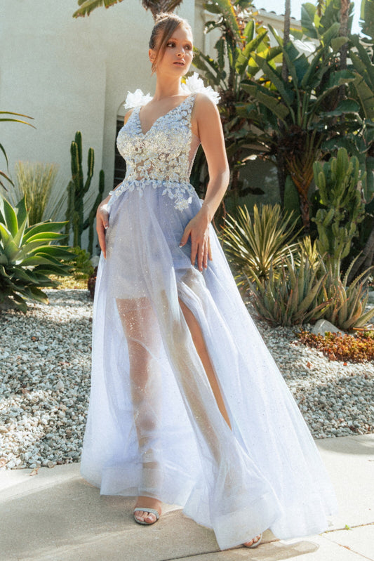 3 D Flower Sheer Bodice V Back Mesh A Line Long Dress