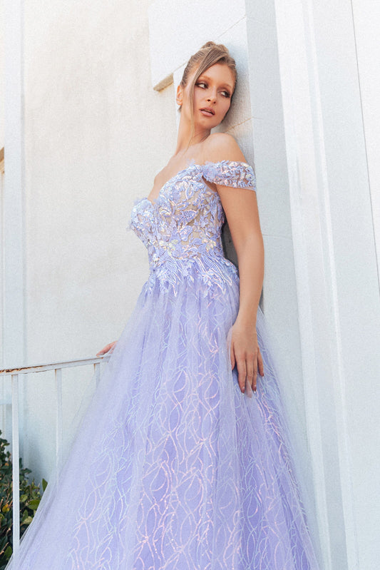Embroidery V Neck Sheer Bodice Mesh A Line Long Dress