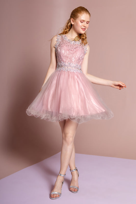 Black Blush Champagne Mint Navy Purple Red Silver White Burgundy Mauve Sleeveless Short Dress With Lace Bodice And Sheer Waistline